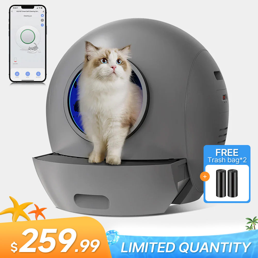 Auto Litter Boxes for Cats