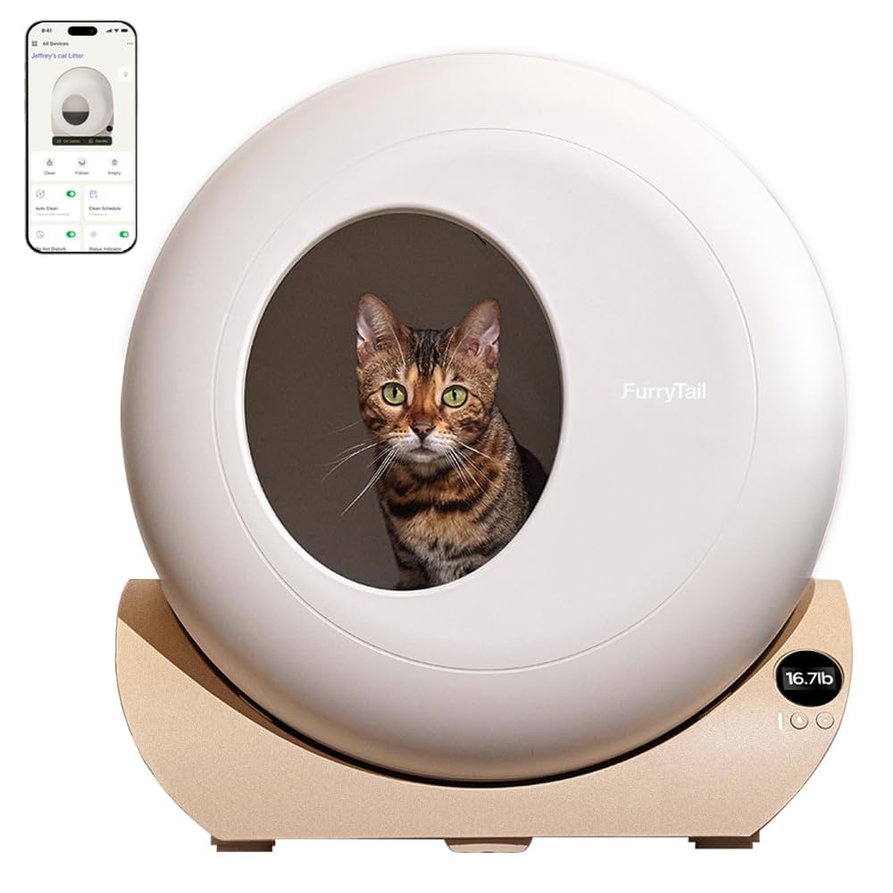 Automatic Litter Box for Cats
