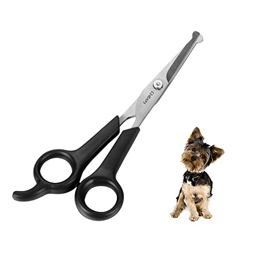 Best Cat Grooming near Me