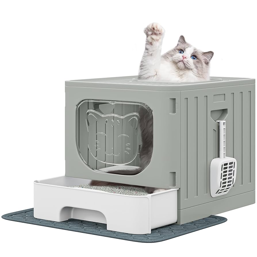 Best Cat Litter Box for Odor