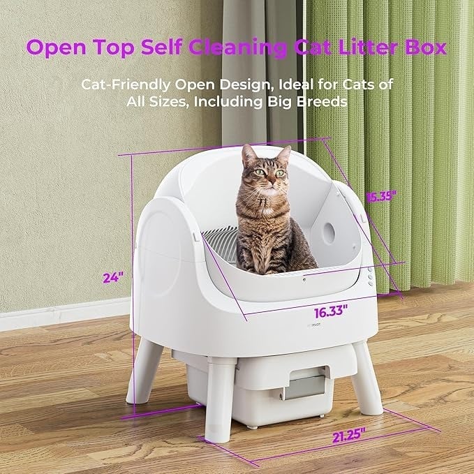 Best Cat Litter for Automatic Litter Box