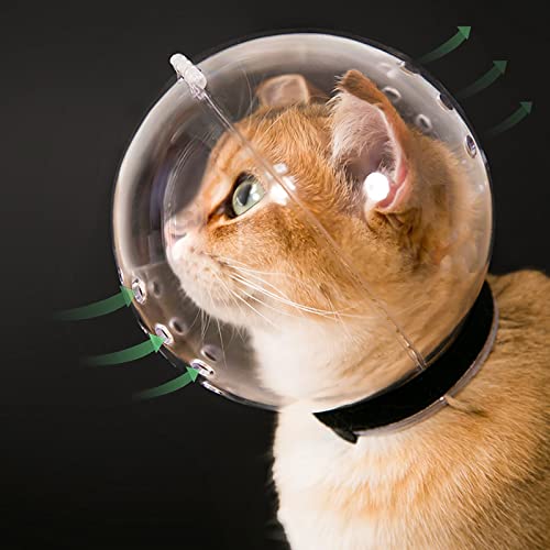 Best Cat Muzzle for Grooming