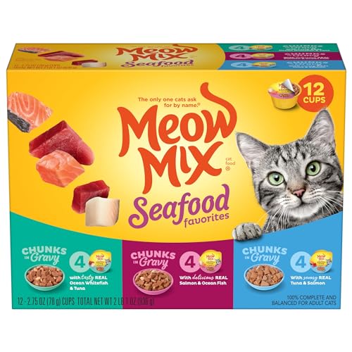 Best Cheap Wet Cat Food