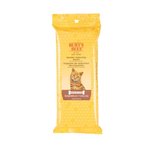 Best Dander Reducing Wipes for Cats