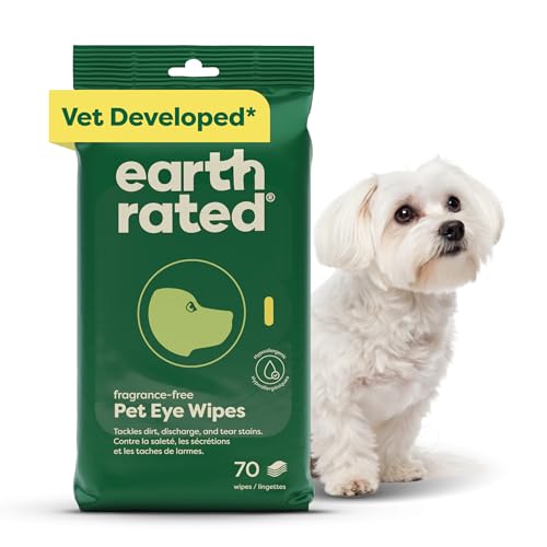 Best Eye Wipes for Cats