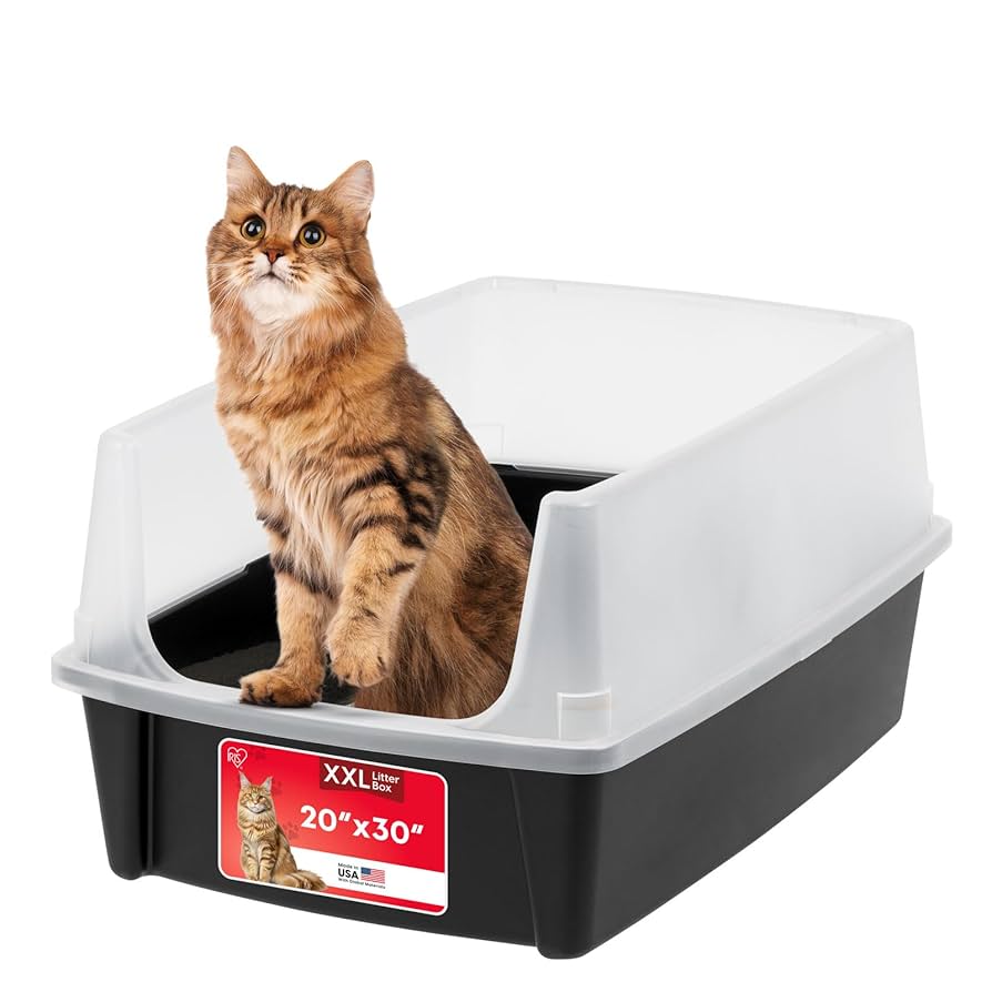 Best Large Cat Litter Box
