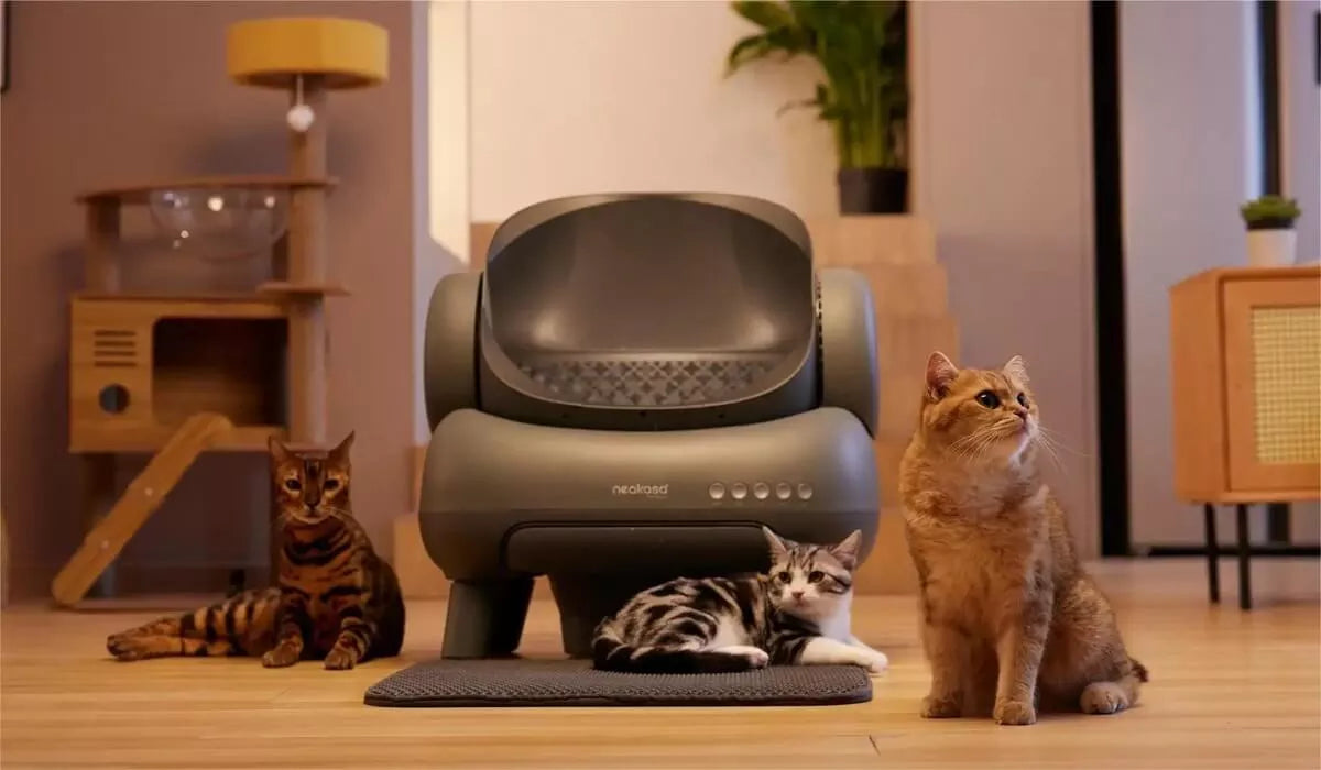 Best Litter Box for Multiple Cats