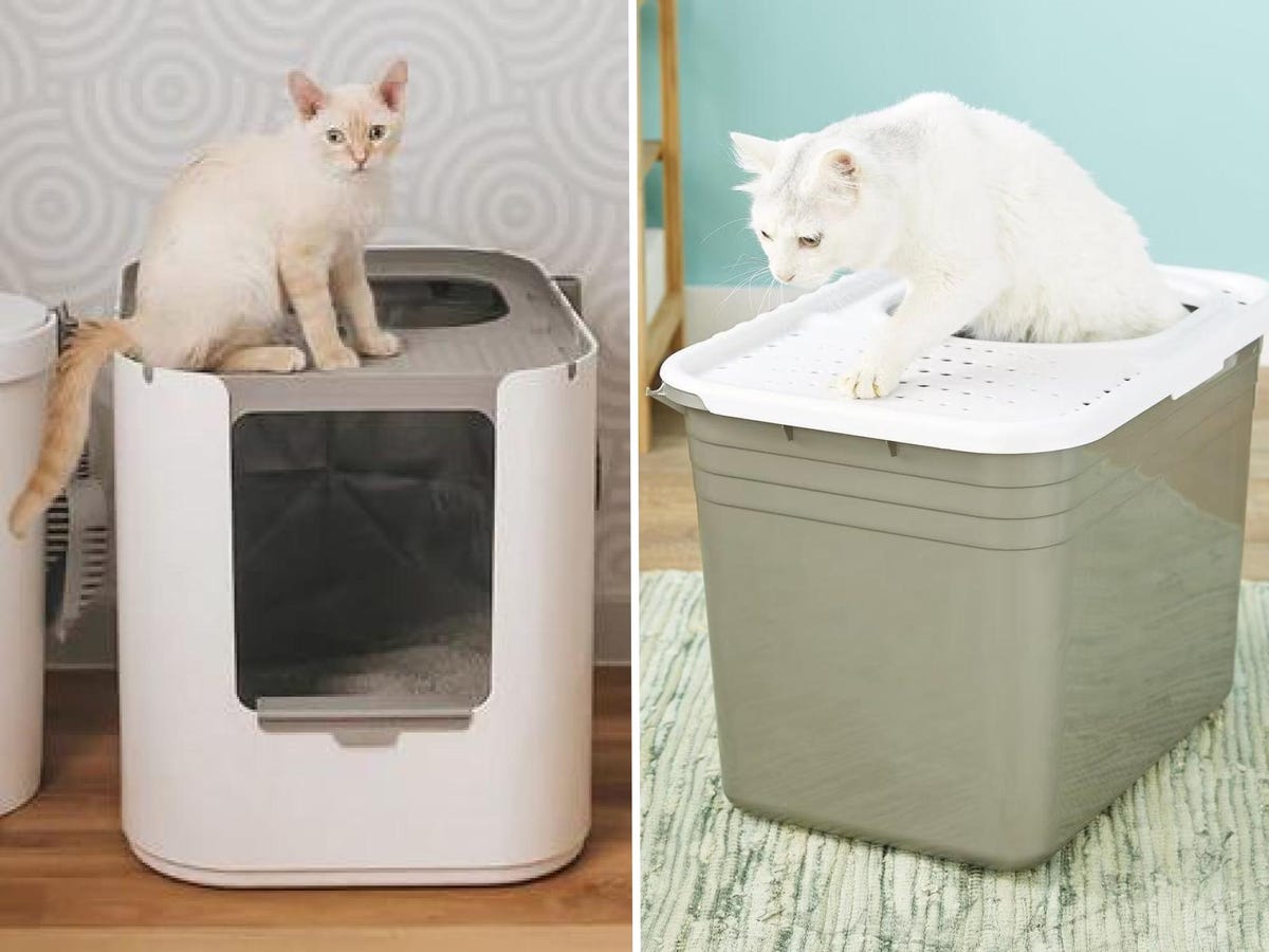 Best Litter Boxes for Cats