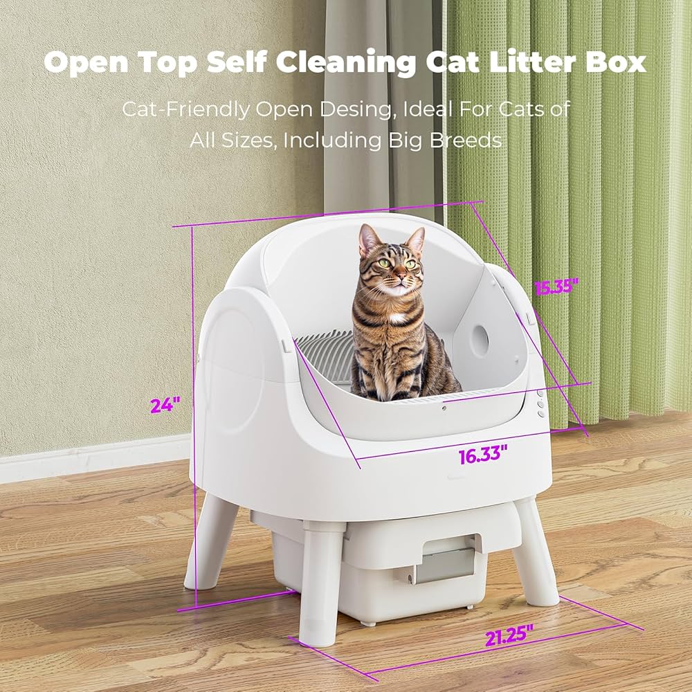 Best Multi Cat Litter Box