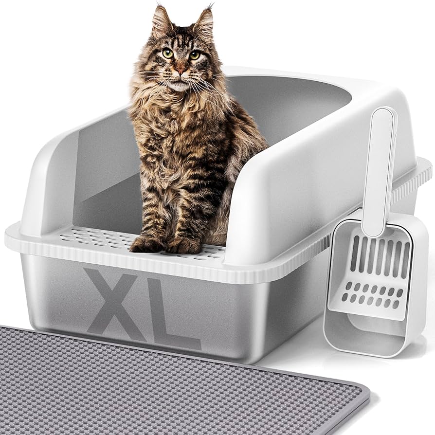 Best Rated Cat Litter Box