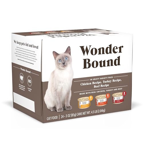 Best Walmart Wet Cat Food