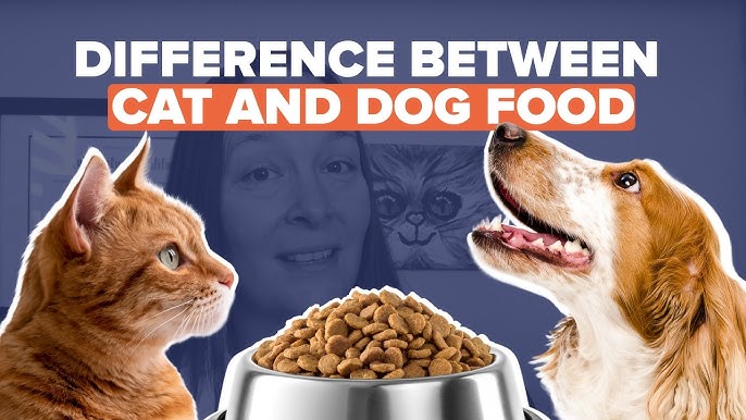 Can Cats Eat Dog Wet Food
