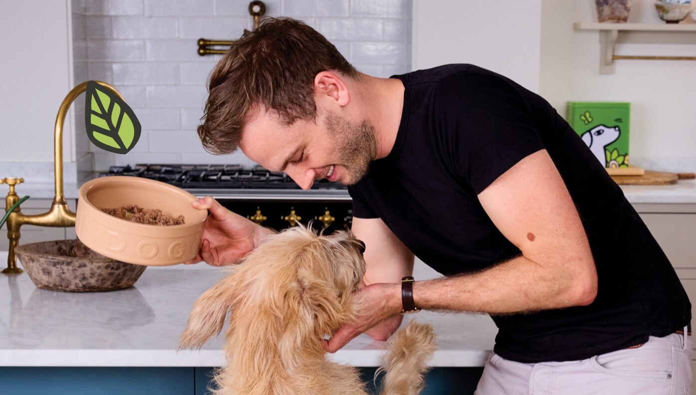 Can Dogs Eat Cat Wet Food