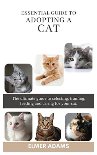 Cat Behavior Training near Me