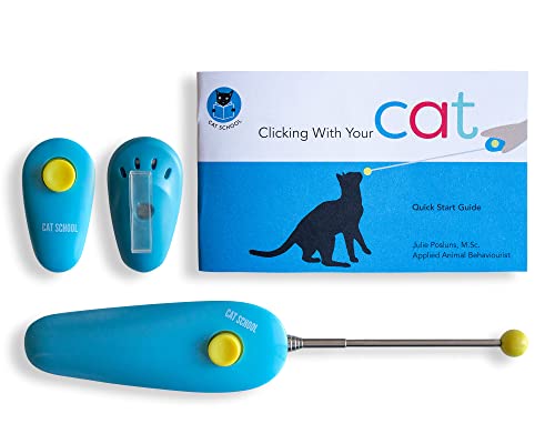 Cat Behavior Training near Me