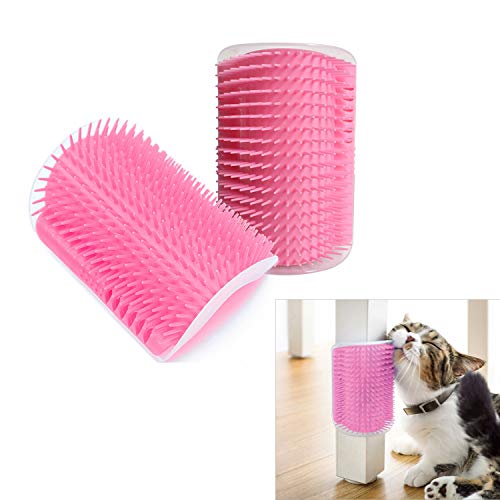 Cat Grooming Santa Rosa Ca