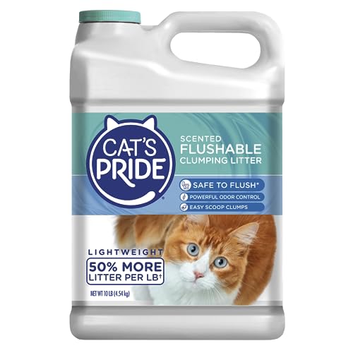 Cat Litter for Toilet Training