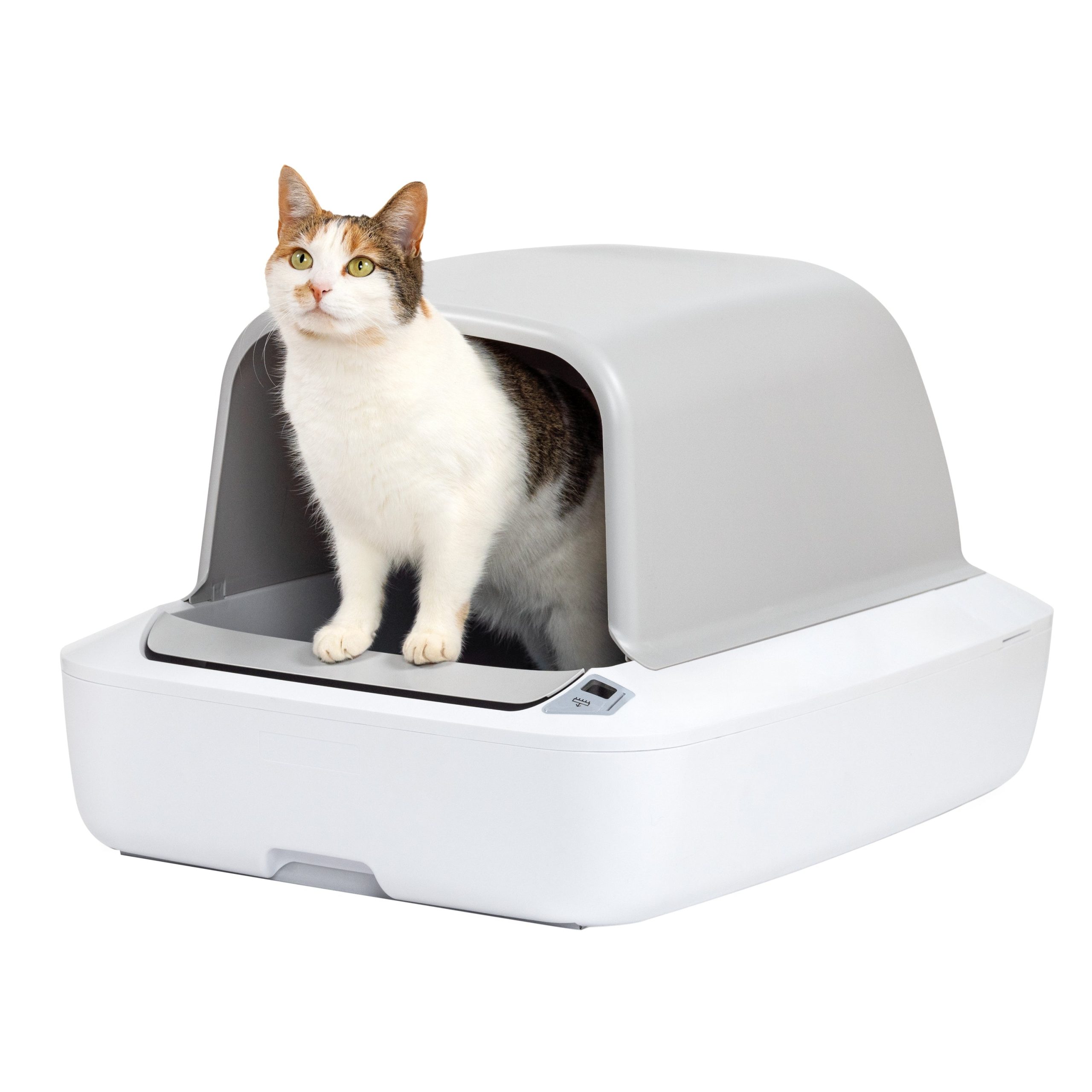 Cat Self Cleaning Litter Box
