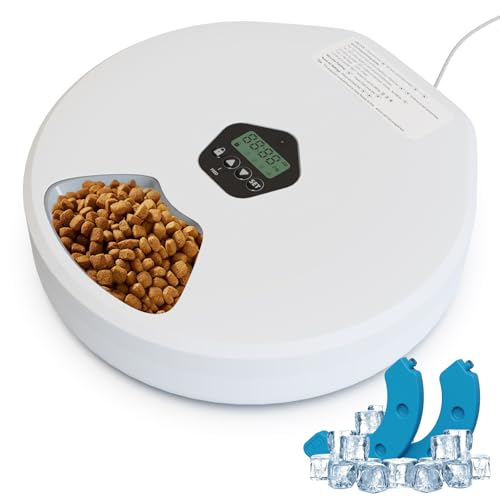 Cat Wet And Dry Food Dispenser
