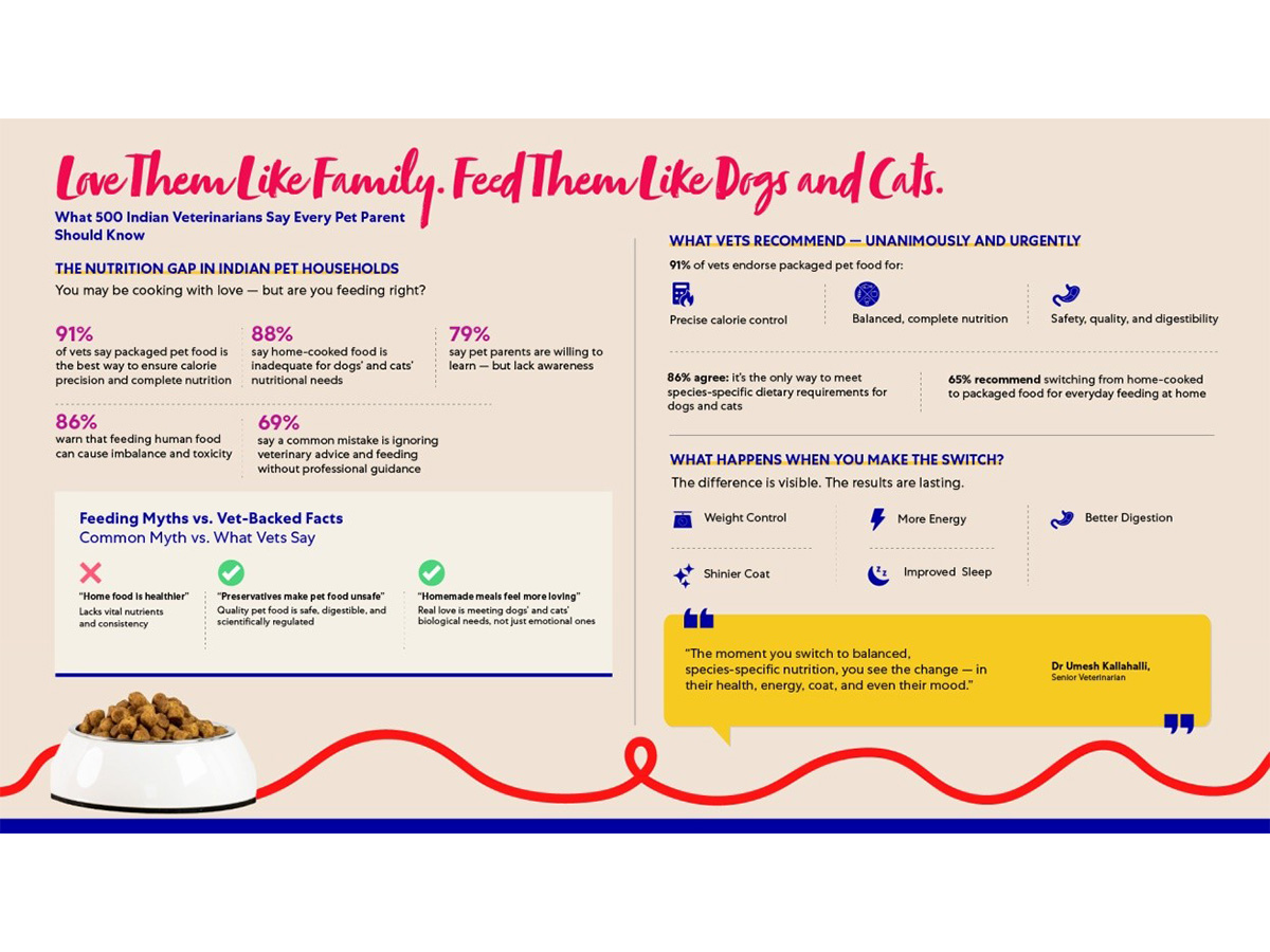 Do Cats And Dogs Have the Same Nutritional Needs