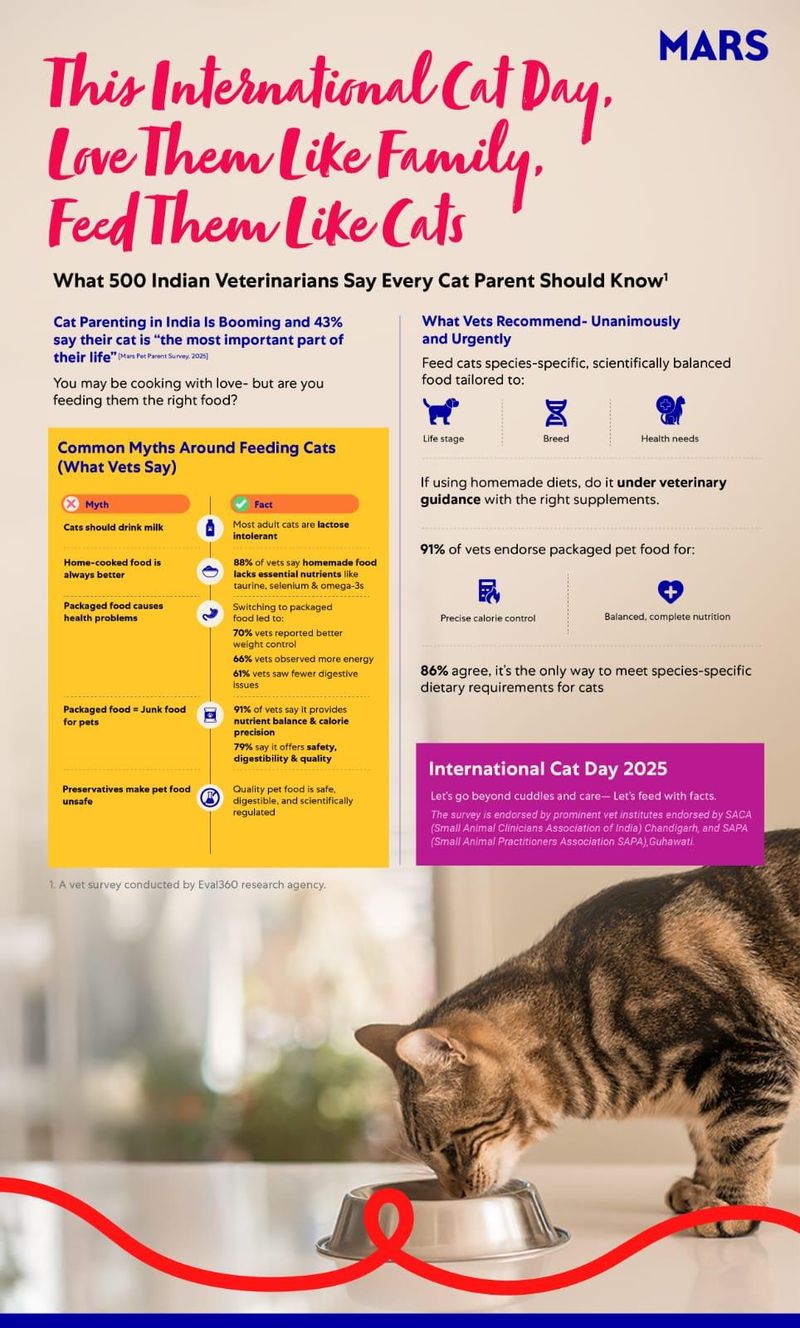Do Vets Agree on Cat Nutrition