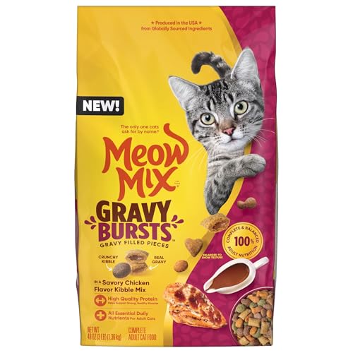 Dry Cat Food Versus Wet Cat Food