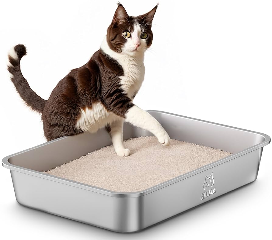 Easy Clean Cat Litter Box