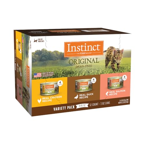 Healthiest Wet Cat Food Brands