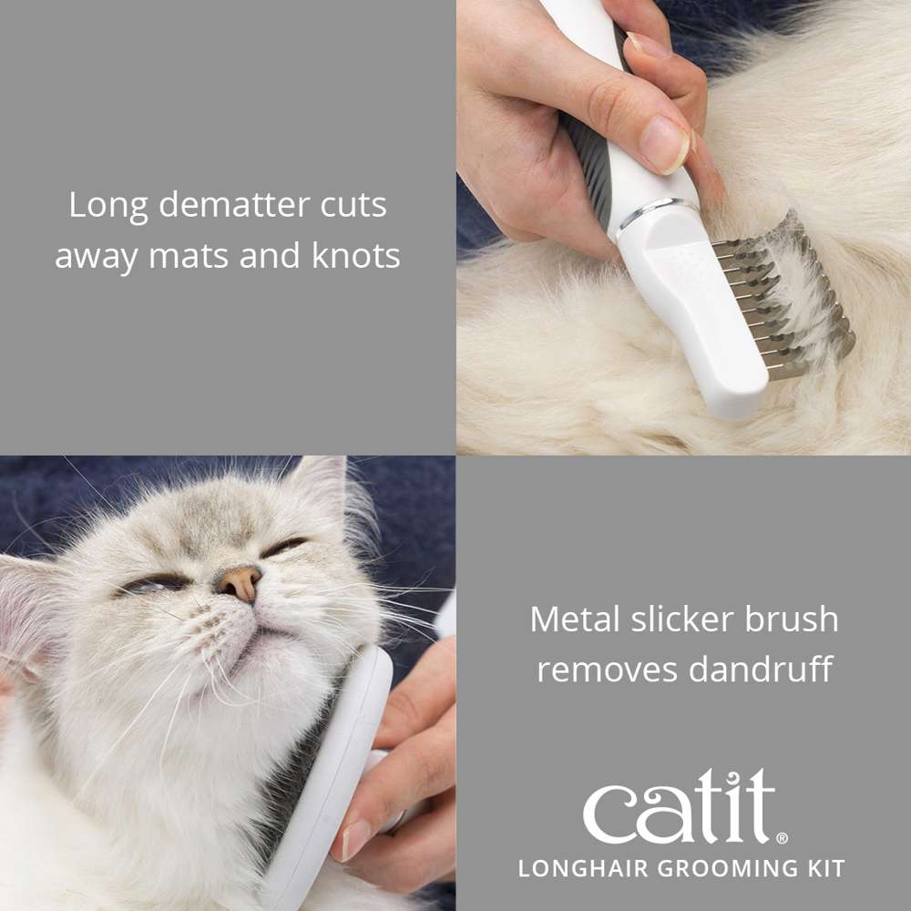 How to Brush Long Hair Cat