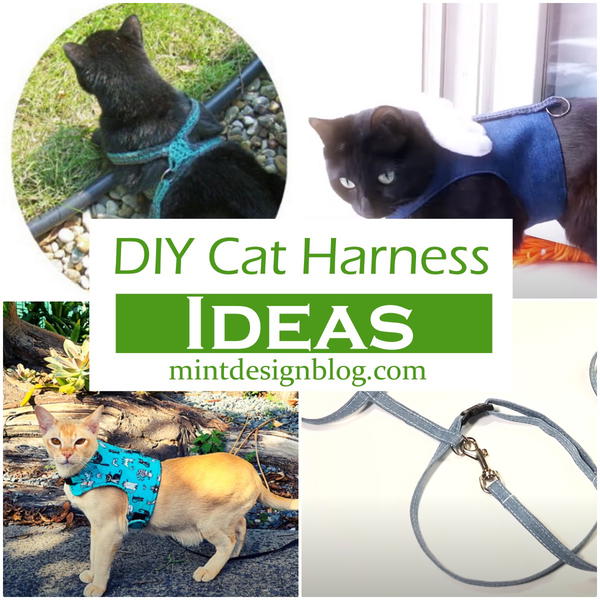 How to Make a Homemade Cat Leash