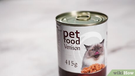 How to Store Cat Wet Food