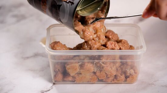 How to Store Opened Wet Cat Food