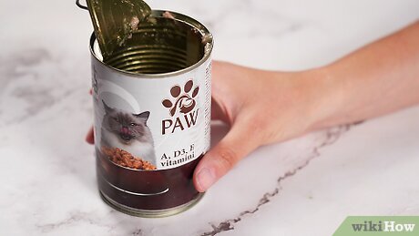 How to Store Wet Cat Food After Opening
