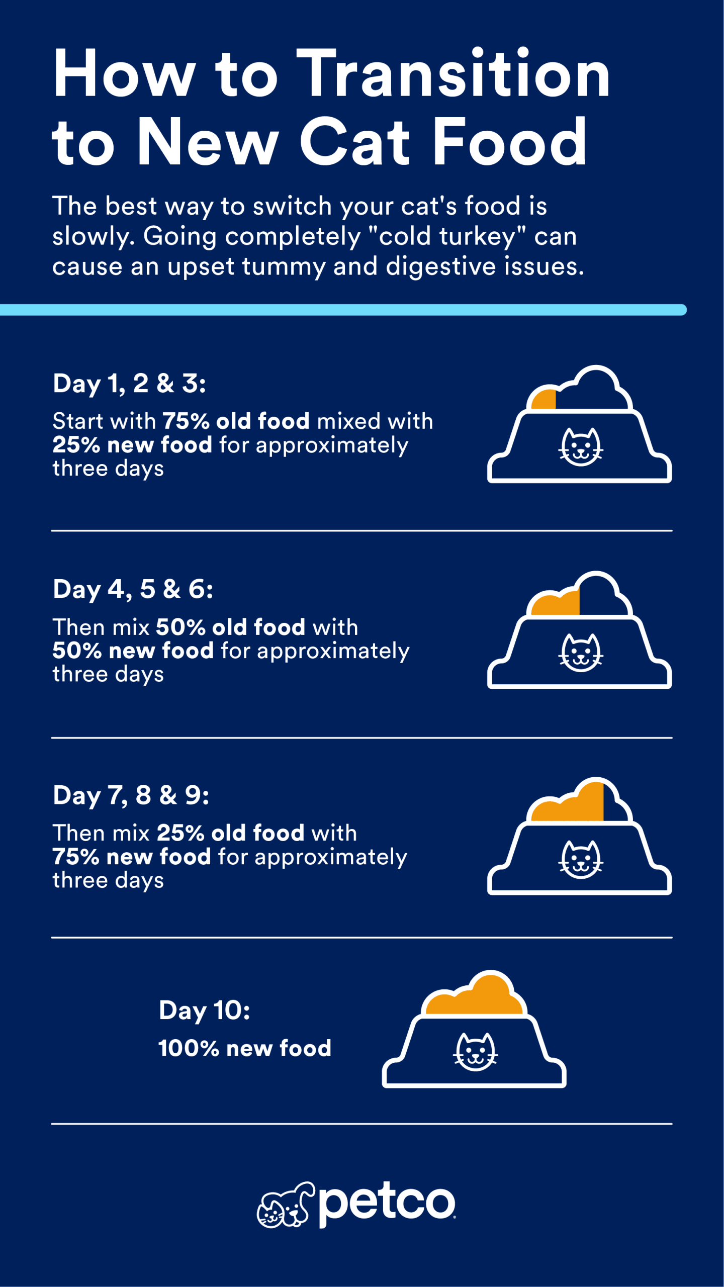 How to Switch Cat from Dry to Wet Food