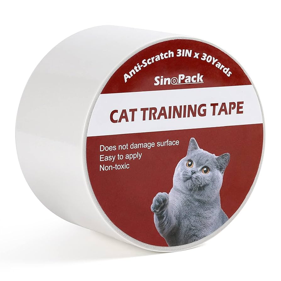 How to Train a Cat to Not Scratch Doors