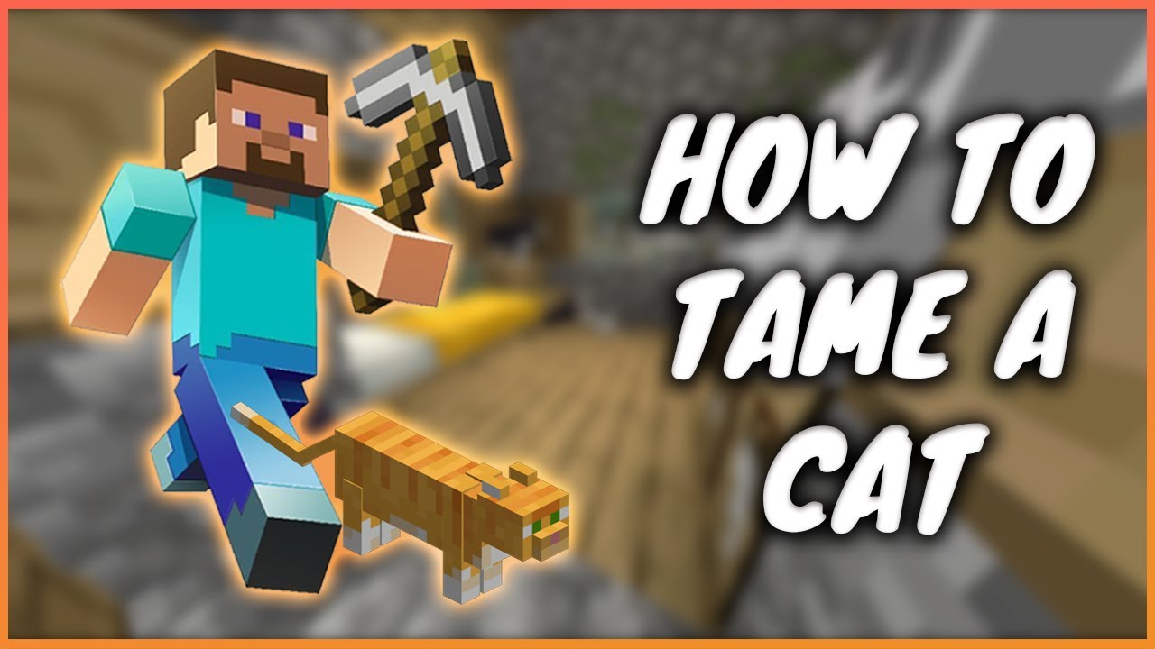 How to Train Cats in Minecraft
