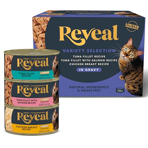 Is Dry Or Wet Food Best for Cats