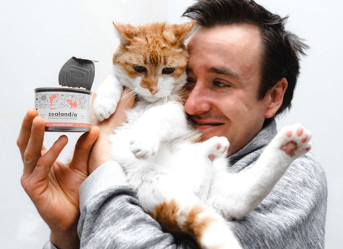 Is Nutritional Yeast Safe for Cats With Kidney Disease