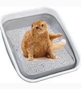 Litter Box for Elderly Cat
