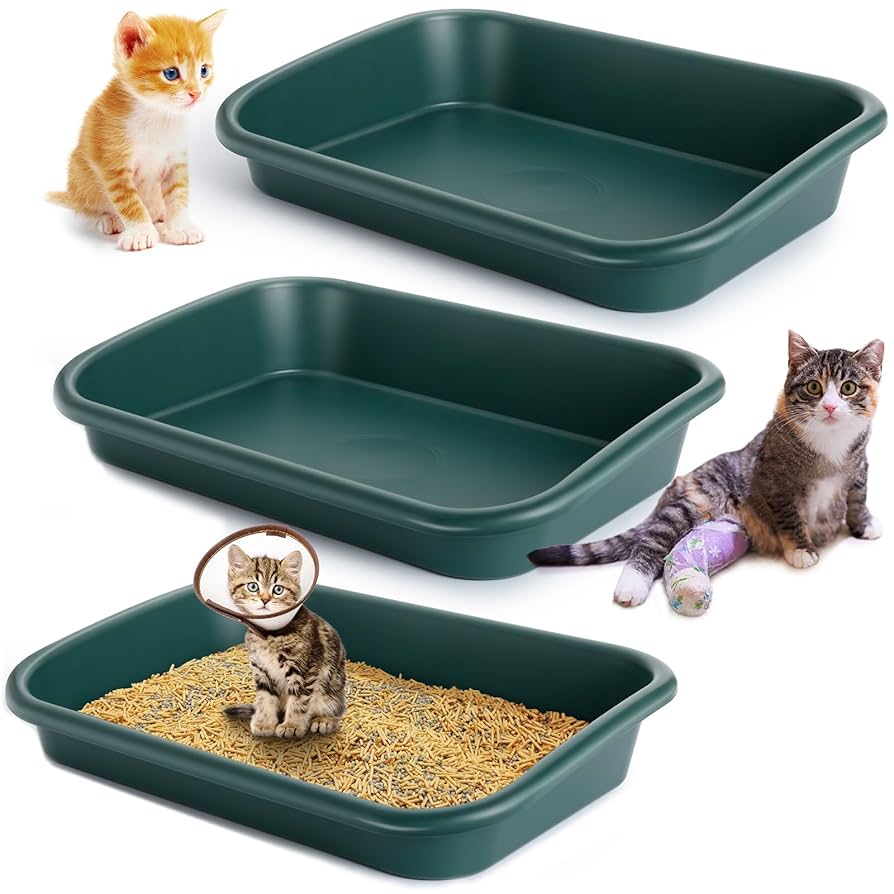 Litter Box for Old Cats