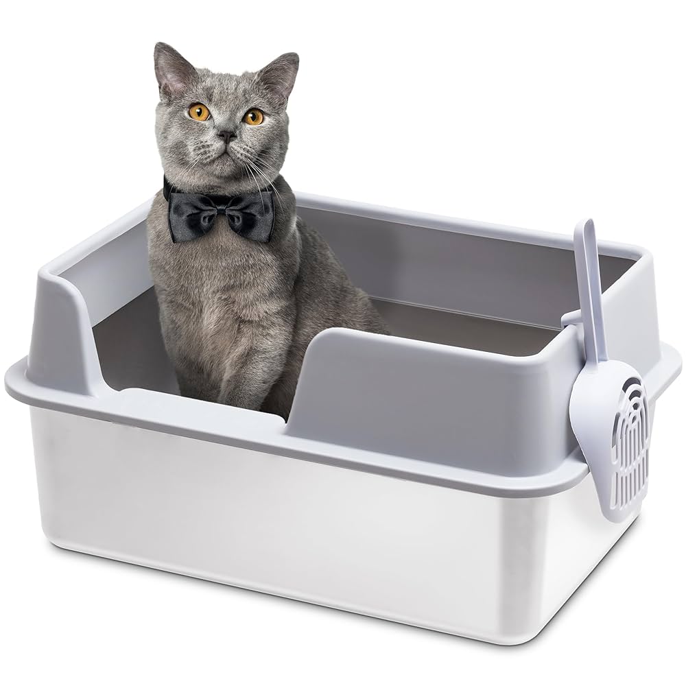 Litter Box for Small Cats