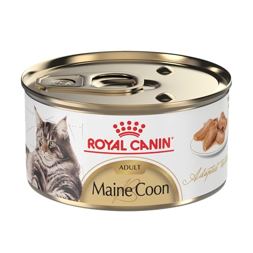 Maine Coon Wet Cat Food