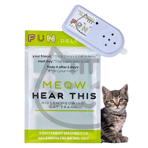 Scary Noises for Cat Training