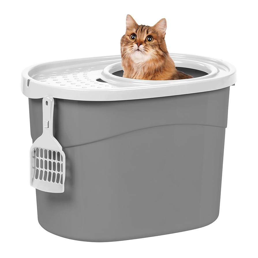 Top Entry Cat Litter Box