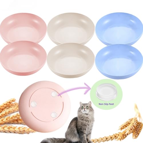 Wet Cat Food in Bowl