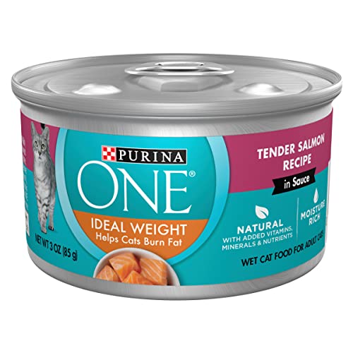 Wet Cat Food Weight Loss