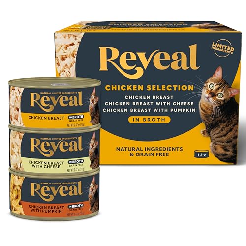 Wet Food Or Dry Food Better for Cats