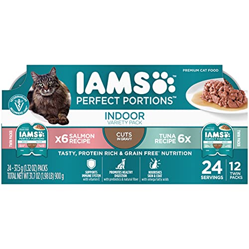 Wet Food Vs Dry Food Cats