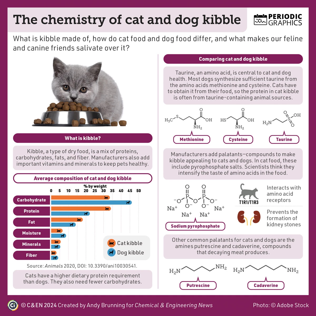 What are the Nutritional Differences between Cats And Dogs