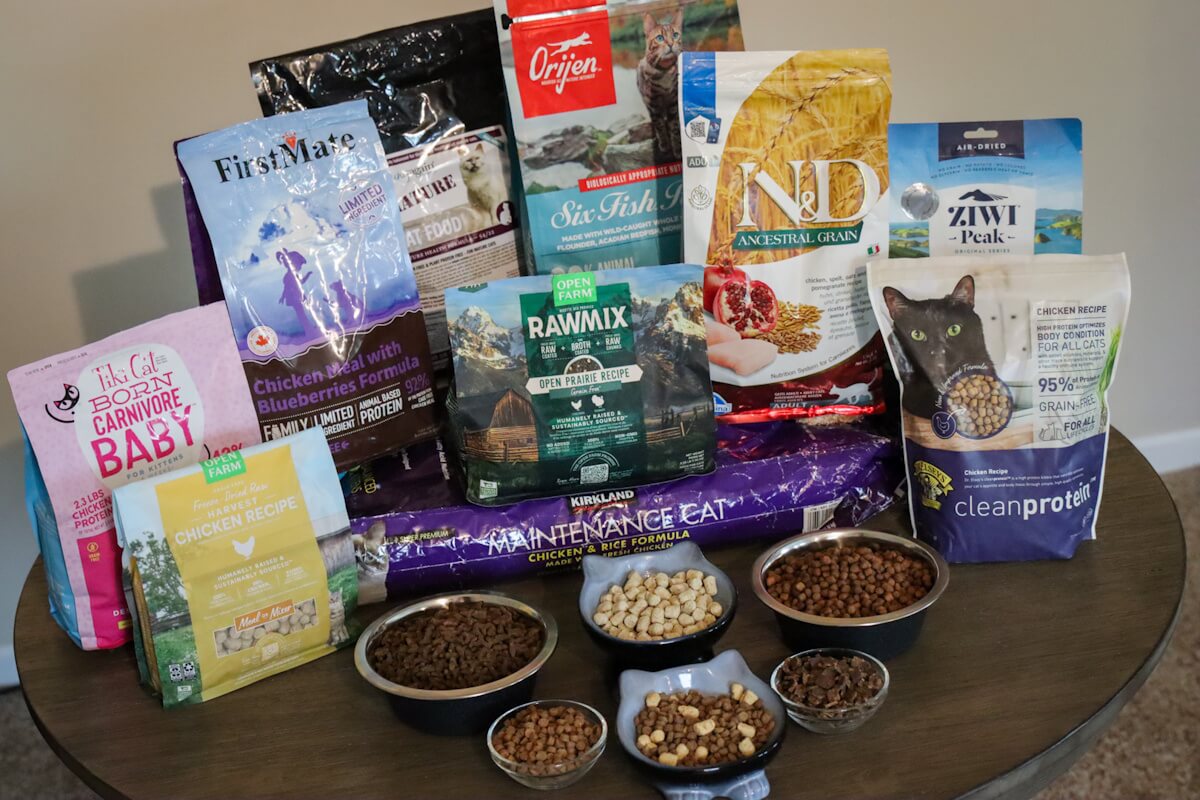 What is the Best Nutrition Cat Food